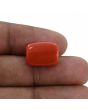 Red Coral (Moonga) - 13 Carat