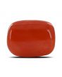 Red Coral (Moonga) - 20 Carat 