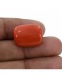 Red Coral (Moonga) - 20 Carat 