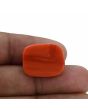 Red Coral (Moonga) - 20 Carat 