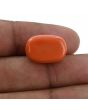 Red Coral (Moonga) - 14.92 Carat 