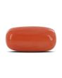 Red Coral (Moonga) - 11.71 Carat 