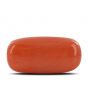 Red Coral (Moonga) - 11.71 Carat 
