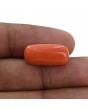Red Coral (Moonga) - 11.71 Carat 