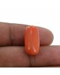 Red Coral (Moonga) - 11.71 Carat 