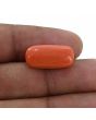 Red Coral (Moonga) - 11.71 Carat 