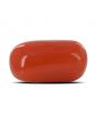 Red Coral (Moonga) - 9.23 Carat 