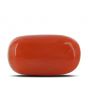 Red Coral (Moonga) - 9.23 Carat 