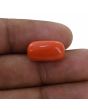 Red Coral (Moonga) - 9.23 Carat 