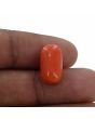 Red Coral (Moonga) - 9.23 Carat 