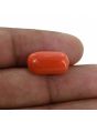 Red Coral (Moonga) - 9.23 Carat 