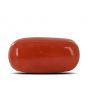 Red Coral (Moonga) - 14.67 Carat 