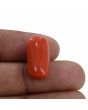 Red Coral (Moonga) - 14.67 Carat 