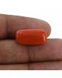 Red Coral (Moonga) - 14.67 Carat 