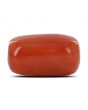 Red Coral (Moonga) - 17.52 Carat 
