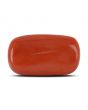 Red Coral (Moonga) - 17.52 Carat 