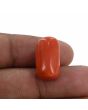 Red Coral (Moonga) - 17.52 Carat 