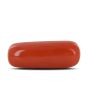Red Coral (Moonga) - 10.04 Carat 