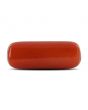 Red Coral (Moonga) - 8.24 Carat 
