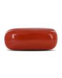 Red Coral (Moonga) - 10.59 Carat 