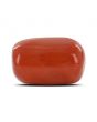 Red Coral (Moonga) - 12.27 Carat 
