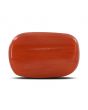 Red Coral (Moonga) - 12.27 Carat 