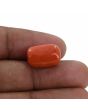 Red Coral (Moonga) - 12.27 Carat 