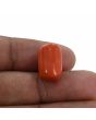 Red Coral (Moonga) - 12.27 Carat 