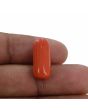 Red Coral (Moonga) - 10.52 Carat 