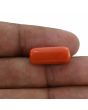 Red Coral (Moonga) - 10.52 Carat 