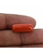 Red Coral (Moonga) - 10.48 Carat 