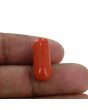 Red Coral (Moonga) - 10.48 Carat 