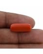 Red Coral (Moonga) - 10.48 Carat 