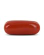 Red Coral (Moonga) - 10.71 Carat 