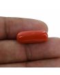 Red Coral (Moonga) - 10.71 Carat 