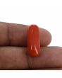 Red Coral (Moonga) - 10.71 Carat 