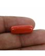 Red Coral (Moonga) - 9.58 Carat 