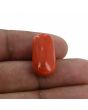 Red Coral (Moonga) - 16.93 Carat 