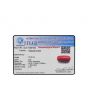 Red Coral (Moonga) - 16.93 Carat 