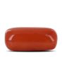 Red Coral (Moonga) - 10.25 Carat 