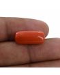 Red Coral (Moonga) - 10.25 Carat 