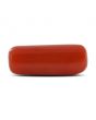 Red Coral (Moonga) - 8.76 Carat 
