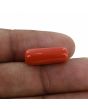 Red Coral (Moonga) - 8.76 Carat 