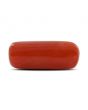 Red Coral (Moonga) - 9.8 Carat 