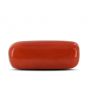 Red Coral (Moonga) - 9.8 Carat 