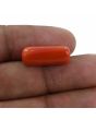 Red Coral (Moonga) - 9.8 Carat 
