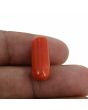 Red Coral (Moonga) - 9.8 Carat 