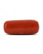 Red Coral (Moonga) - 8.15 Carat 