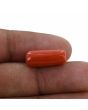Red Coral (Moonga) - 8.15 Carat 