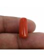 Red Coral (Moonga) - 8.15 Carat 